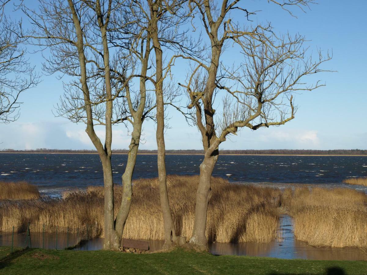 Ferienhaus Kranichblick Kinnbackenhagen Eksteriør billede